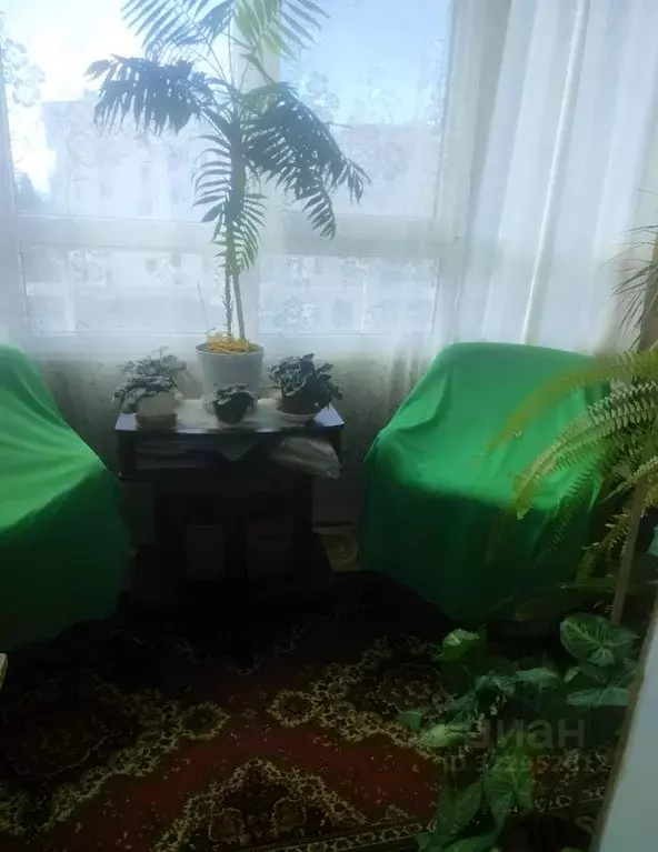 2-к кв. Крым, Ялта ул. Теплая Балка, 5 (50.0 м) - Фото 2