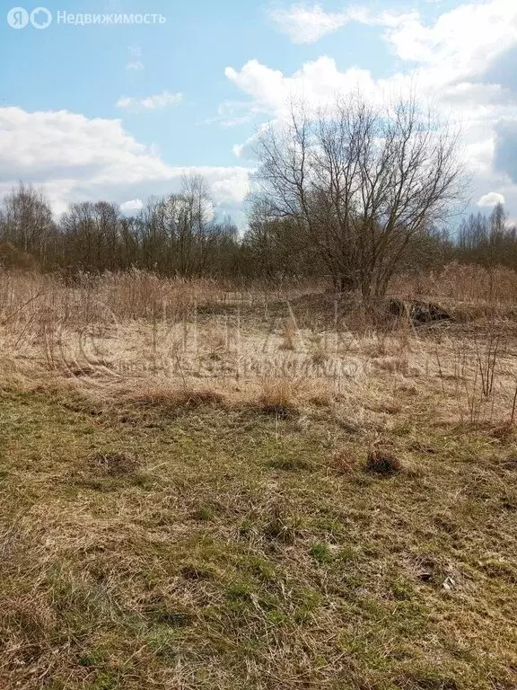 Участок в Кингисеппский район, Большелуцкое сельское поселение, ... - Фото 2