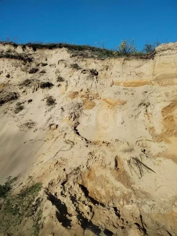 Участок в Ульяновская область, Мелекесский район, Тиинское с/пос, с. ... - Фото 2