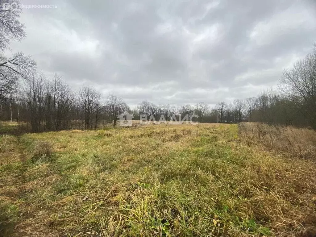 Участок в Суздальский район, село Новоалександрово (21 м) - Фото 2