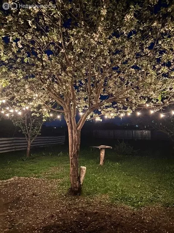 Участок в Энгельсский район, Новопушкинское муниципальное образование ... - Фото 2