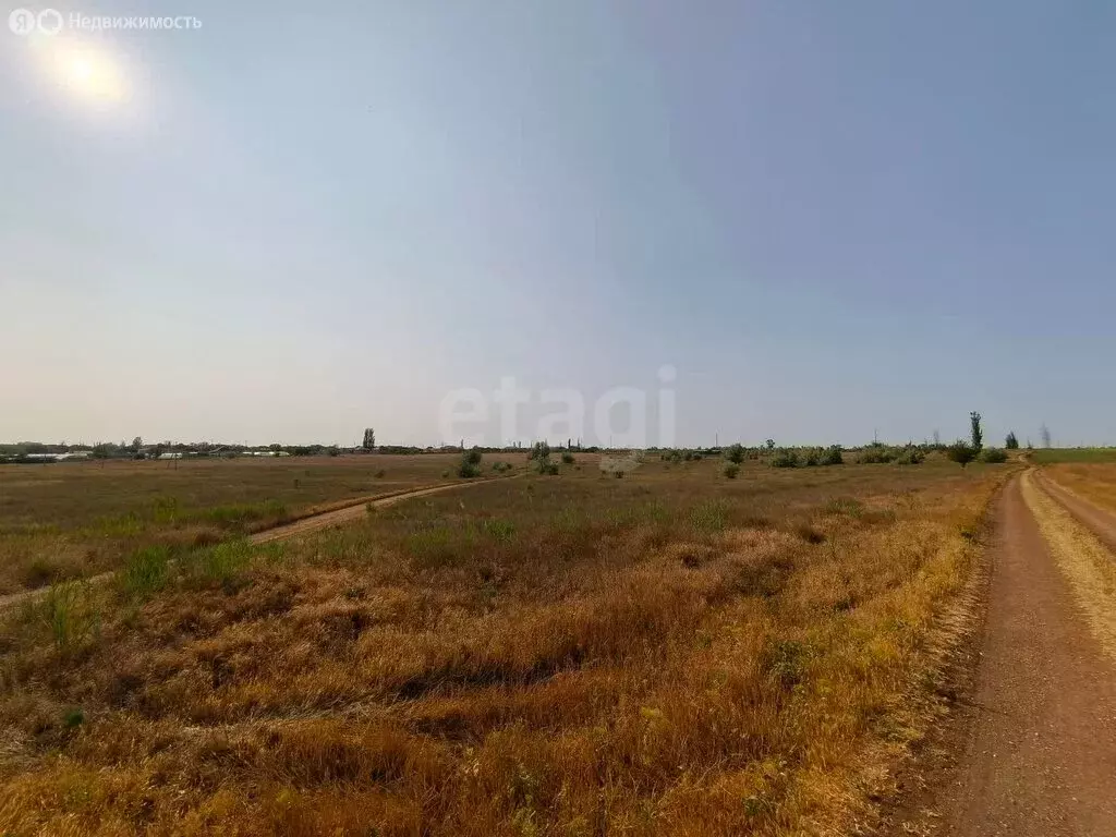Участок в Сакский район, село Орехово (40 м) - Фото 1