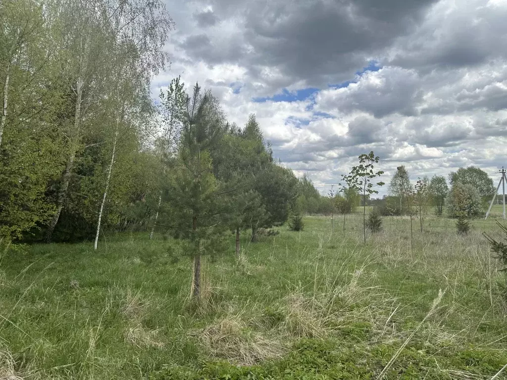 Участок в Московская область, Богородский городской округ, д. Ельня  ... - Фото 0