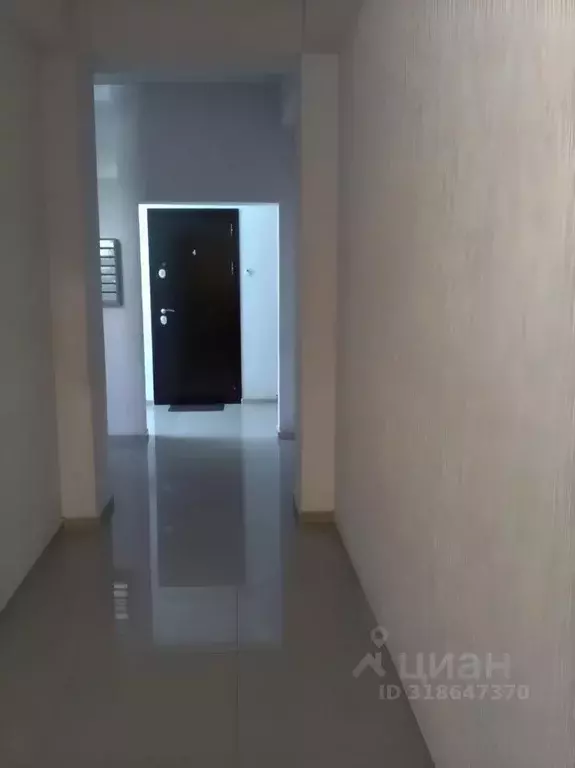 Студия Краснодарский край, Сочи ул. Высокогорная, 48А (24.0 м) - Фото 1