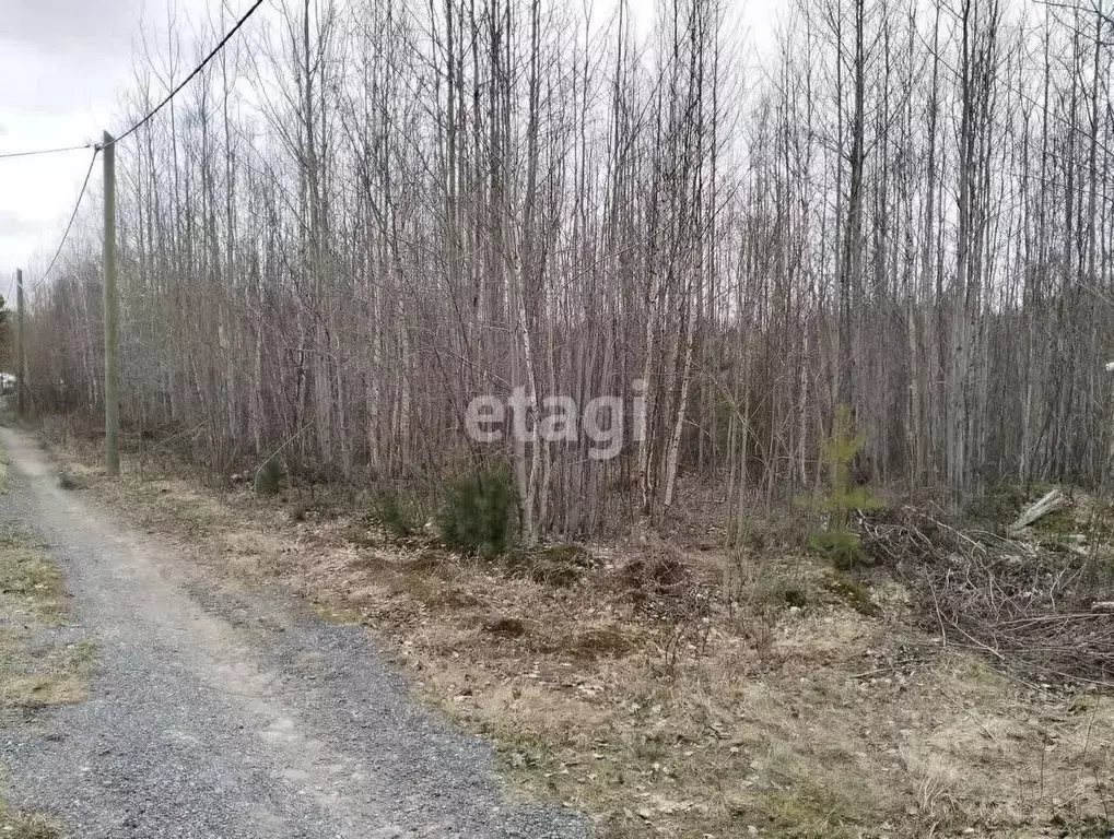 участок в ханты-мансийский ао, ханты-мансийск светлана сот, (6.2 . - Фото 0