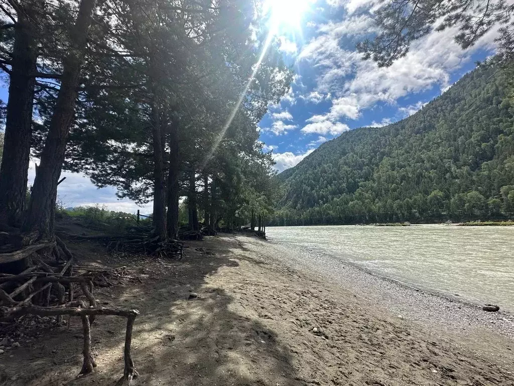 Участок в Алтай, Чемальский район, с. Чемал  (38.0 сот.) - Фото 1