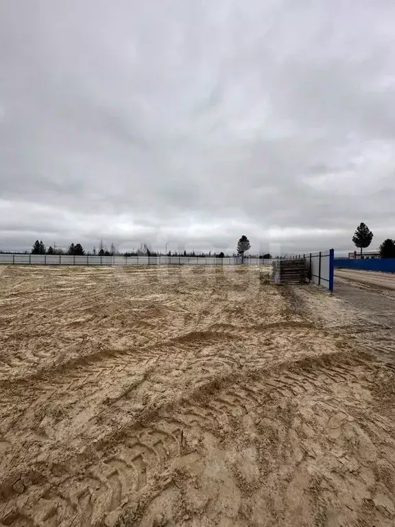 Участок в Ямало-Ненецкий АО, Пуровский район, Уренгой пгт Восточная ... - Фото 1
