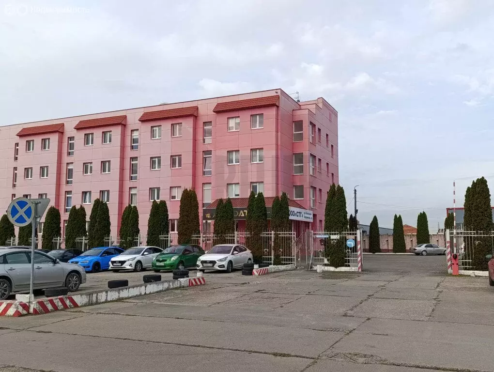 Помещение свободного назначения (2561.9 м) - Фото 2