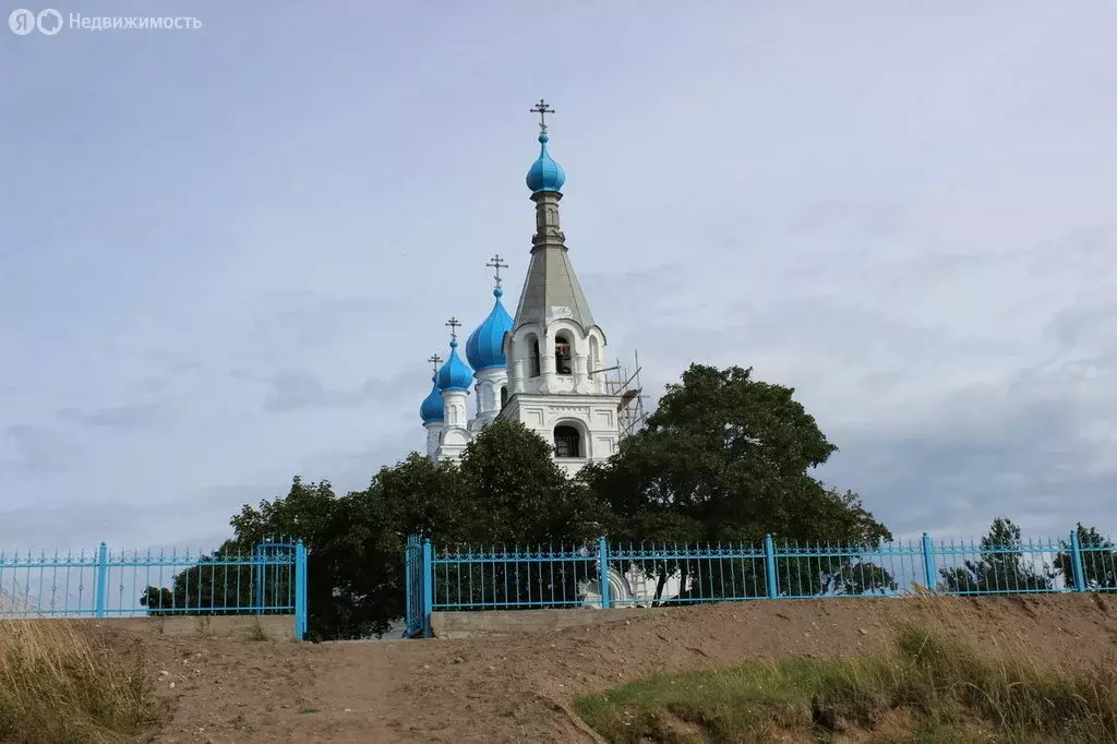 Участок в Гдовский район, Юшкинская волость, деревня Ветвеник (10 м) - Фото 1