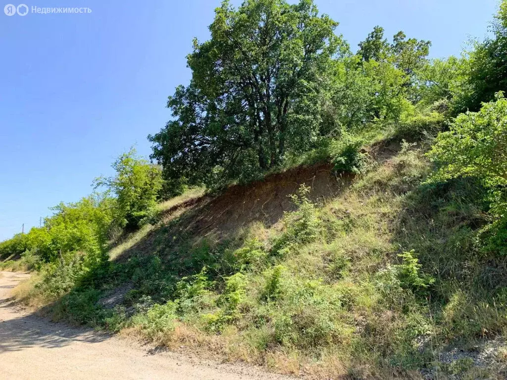 Участок в село Малореченское, Подгорная улица (7.29 м) - Фото 0