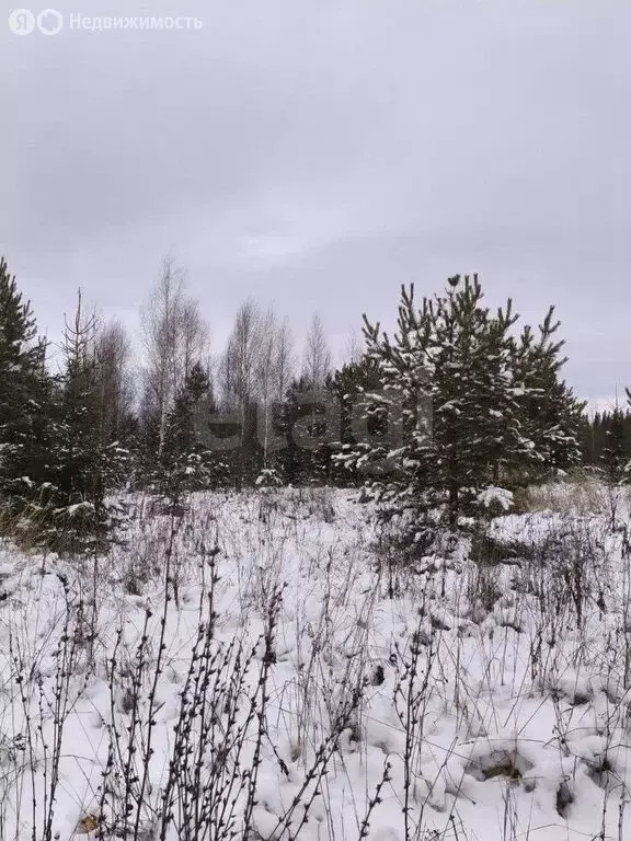 Участок в Пермский муниципальный округ, деревня Горшки (10 м) - Фото 2