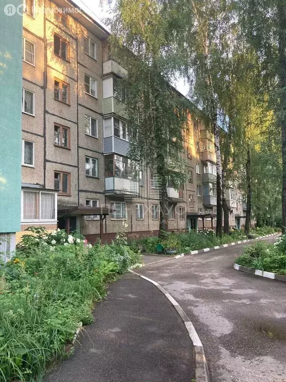 2-комнатная квартира: Владимир, проспект Строителей, 44 (43 м) - Фото 0