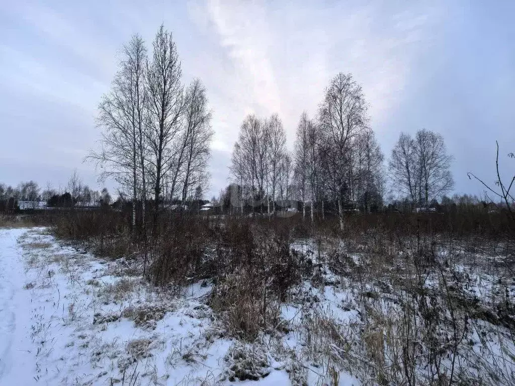 Участок в Тюменская область, Нижнетавдинский муниципальный округ, ... - Фото 1