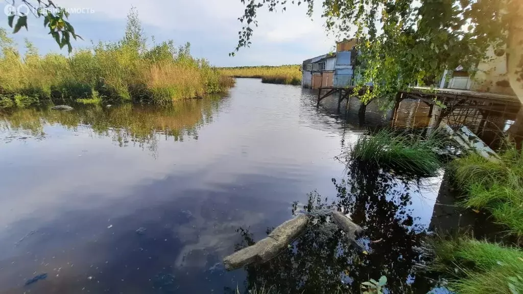 Дом в Исеть, Набережная улица, 6 (59 м) - Фото 1