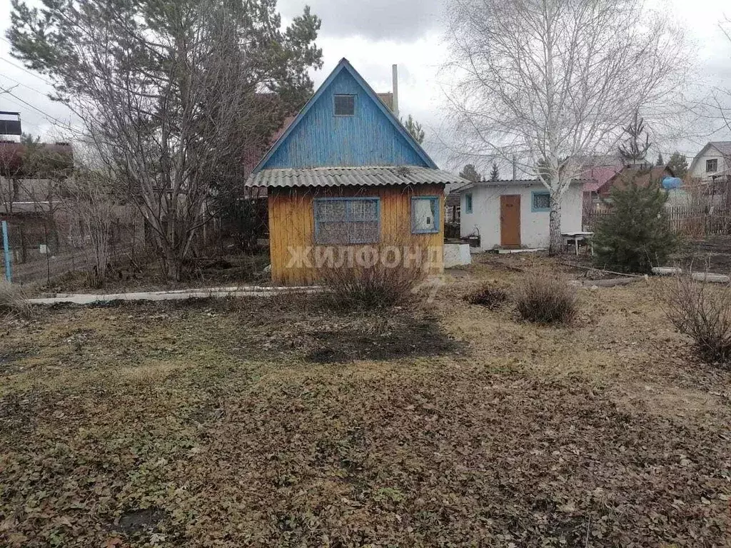 Участок в Новосибирская область, Новосибирский район, Верх-Тулинский ... - Фото 1