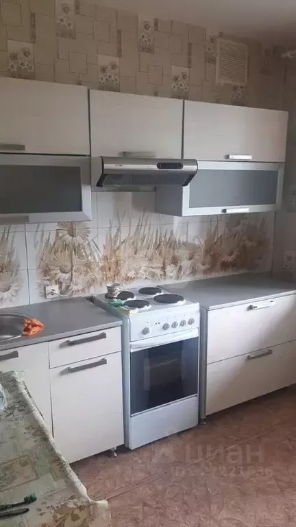 1-к кв. Вологодская область, Шексна рп ул. Молодежная, 5 (38.5 м) - Фото 1