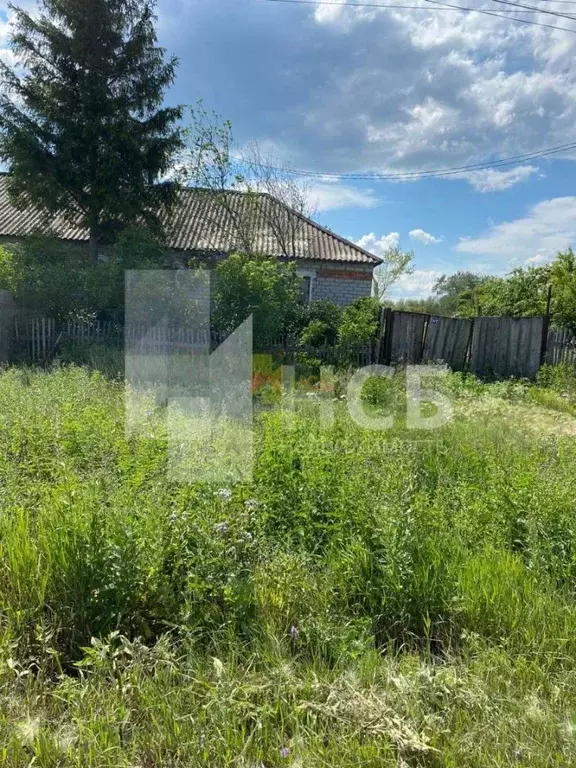 Дом в Омская область, Москаленский район, с. Алексеевка  (55 м) - Фото 2