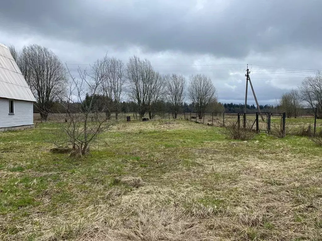 Участок в Ленинградская область, Гатчинский муниципальный округ, д. ... - Фото 2