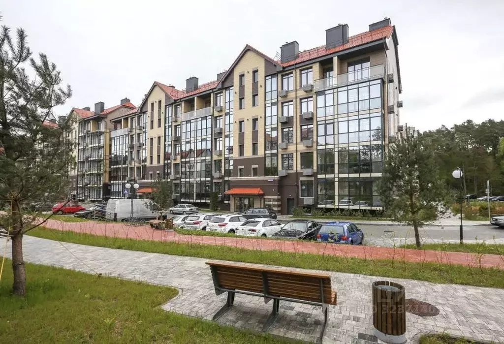 Студия Калининградская область, Светлогорск Майский проезд, 5к3 (30.0 ... - Фото 1