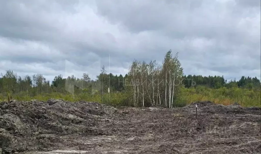 Участок в Тюменская область, Нижнетавдинский район, Сочинское ДНТ  ... - Фото 0