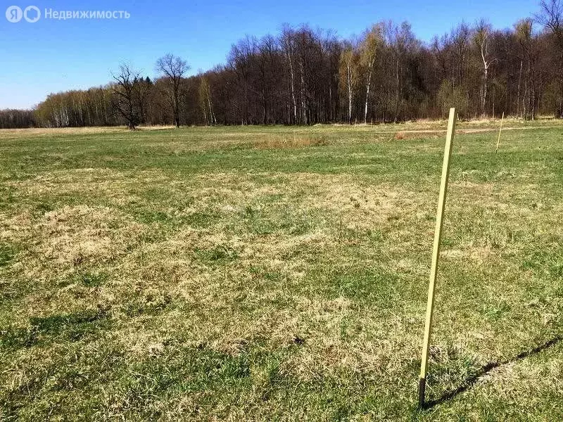 Участок в Курганская область, Шатровский муниципальный округ, деревня ... - Фото 1