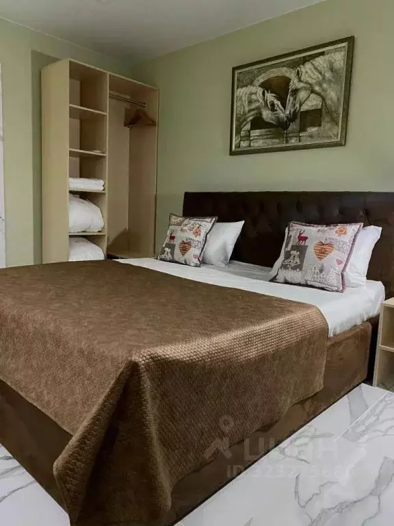 1-к кв. Ставропольский край, Ессентуки ул. Ленина, 14А (30.0 м) - Фото 1