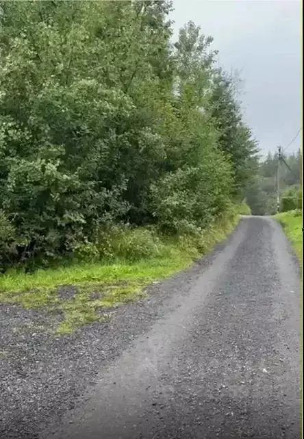 Участок в Ленинградская область, Выборгский район, Первомайское с/пос, ... - Фото 2