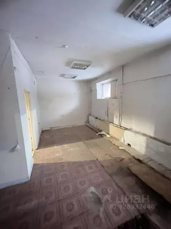 Помещение свободного назначения в Коми, Сыктывкар ул. Ленина, 89 (41 ... - Фото 1