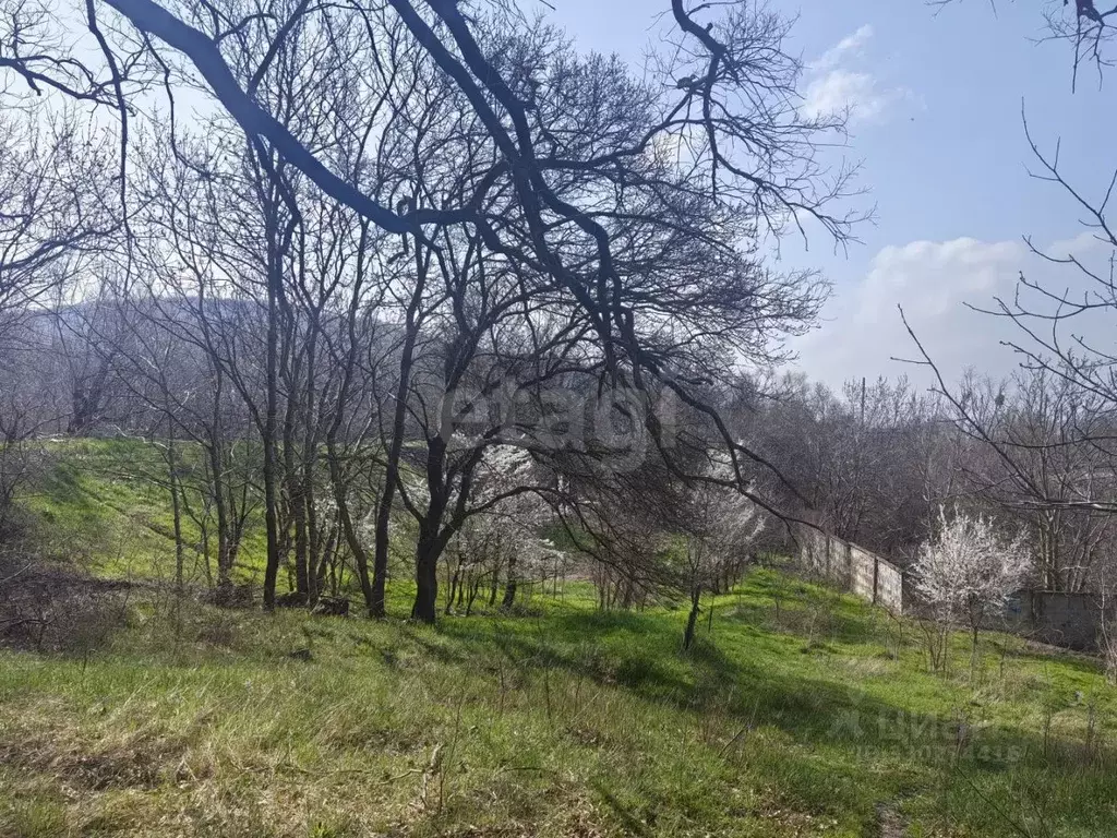 Участок в Краснодарский край, Новороссийск городской округ, ... - Фото 2