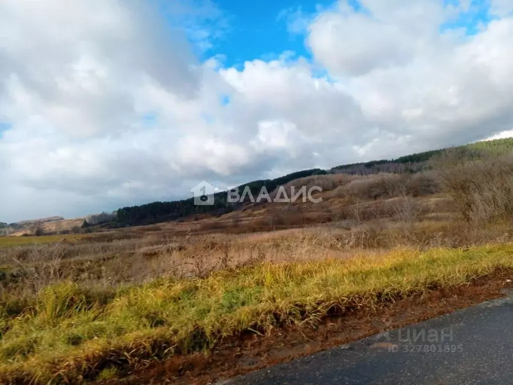 Участок в Нижегородская область, Богородский муниципальный округ, д. ... - Фото 2