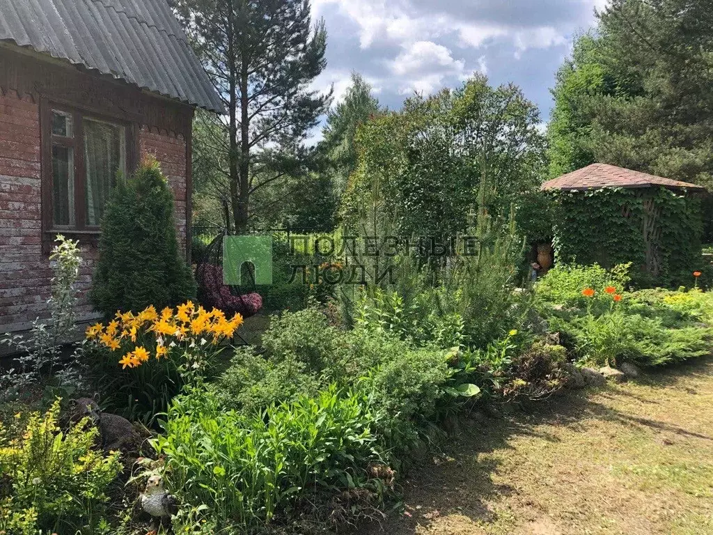 Дом в Карелия, Прионежский район, Заозерское с/пос, Заозерье СНТ 76 ... - Фото 1