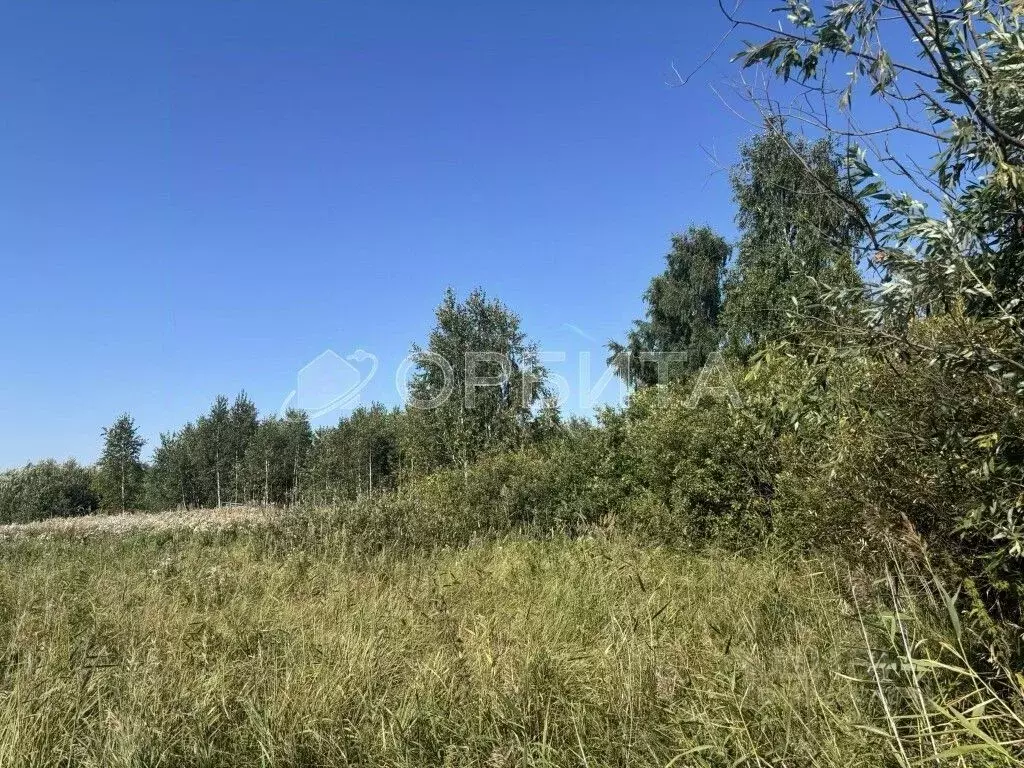 Участок в Тюменская область, Тюмень Березняковский мкр, ул. ... - Фото 2