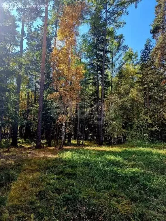 Дом в Улан-Удэ, садовое товарищество Бодрость, улица Парк-отель (240 ... - Фото 1