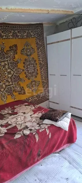 Дом в Новосибирская область, Тогучинский район, Сибиряк садовое ... - Фото 1