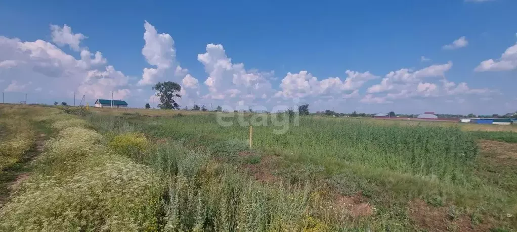 участок в воронежская область, борисоглебский городской округ, с. . - Фото 0