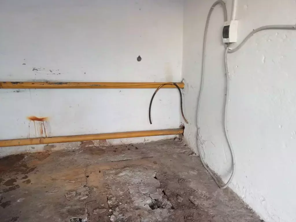 Помещение свободного назначения в Тюменская область, Армизонский ... - Фото 2