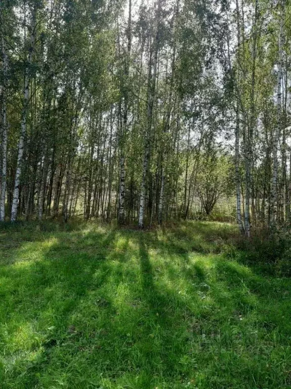 Участок в Ивановская область, Юрьевецкий район, Михайловское с/пос, д. ... - Фото 1