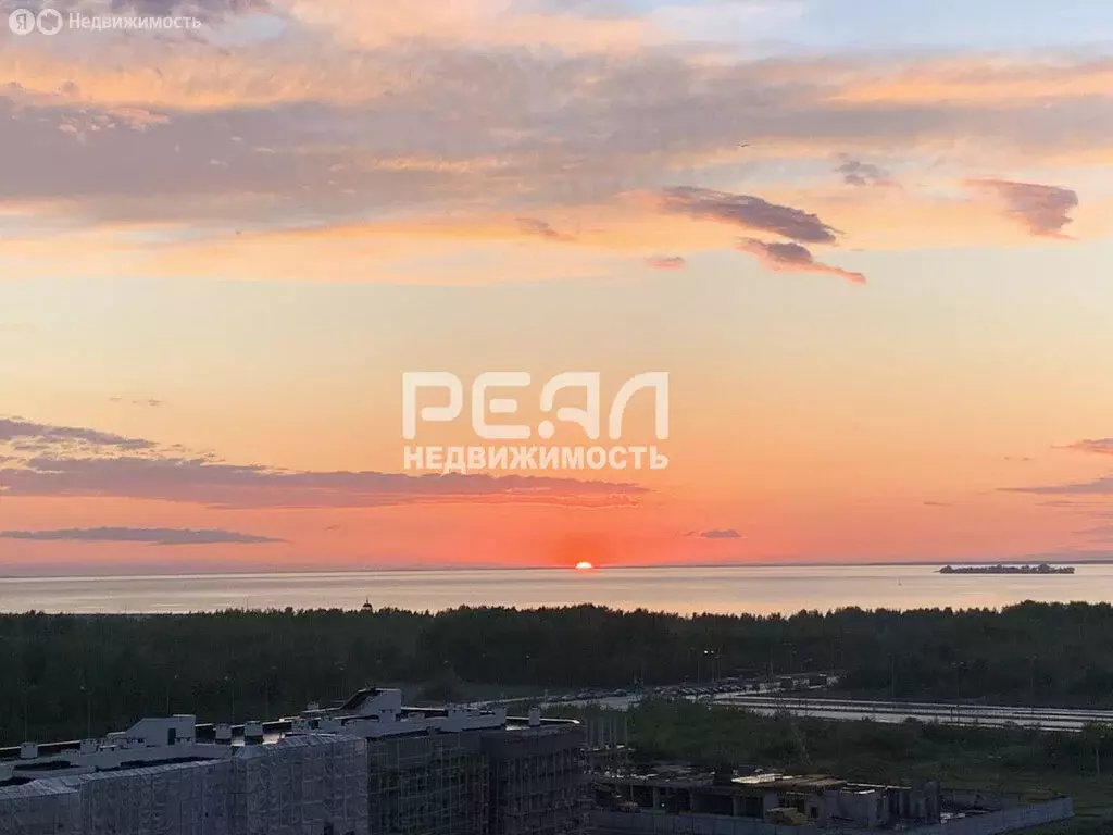 Квартира-студия: Санкт-Петербург, улица Адмирала Трибуца, 5 (24.2 м) - Фото 1