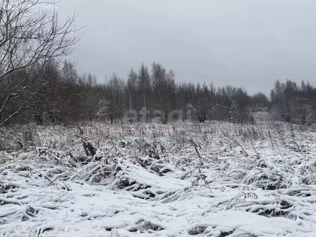 Участок в Костромской район, Бакшеевское сельское поселение, деревня ... - Фото 2