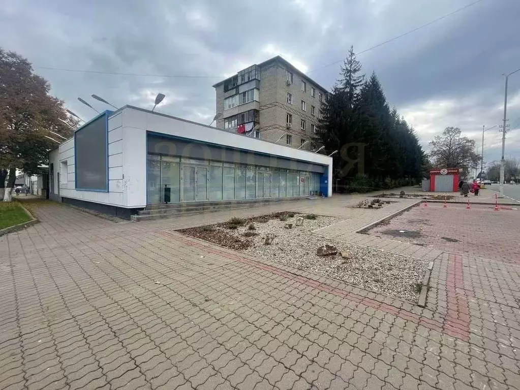 Торговая площадь в Белгородская область, Губкин ул. Чайковского, 1 ... - Фото 2