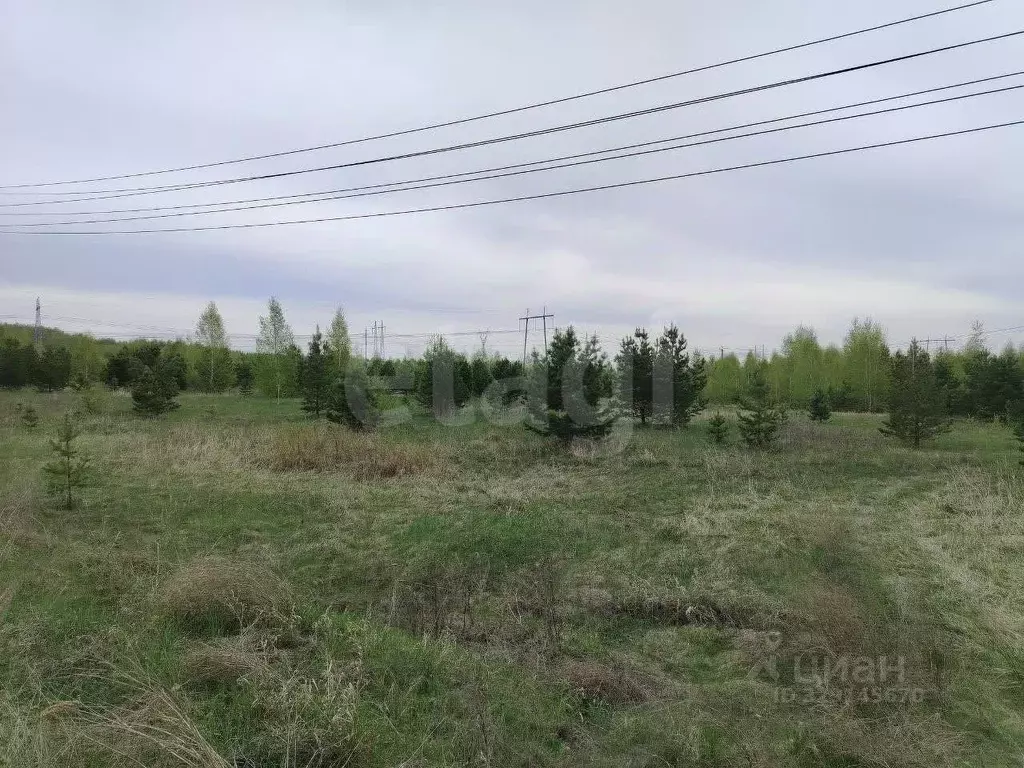 Участок в Челябинская область, Сосновский муниципальный округ, с. ... - Фото 2