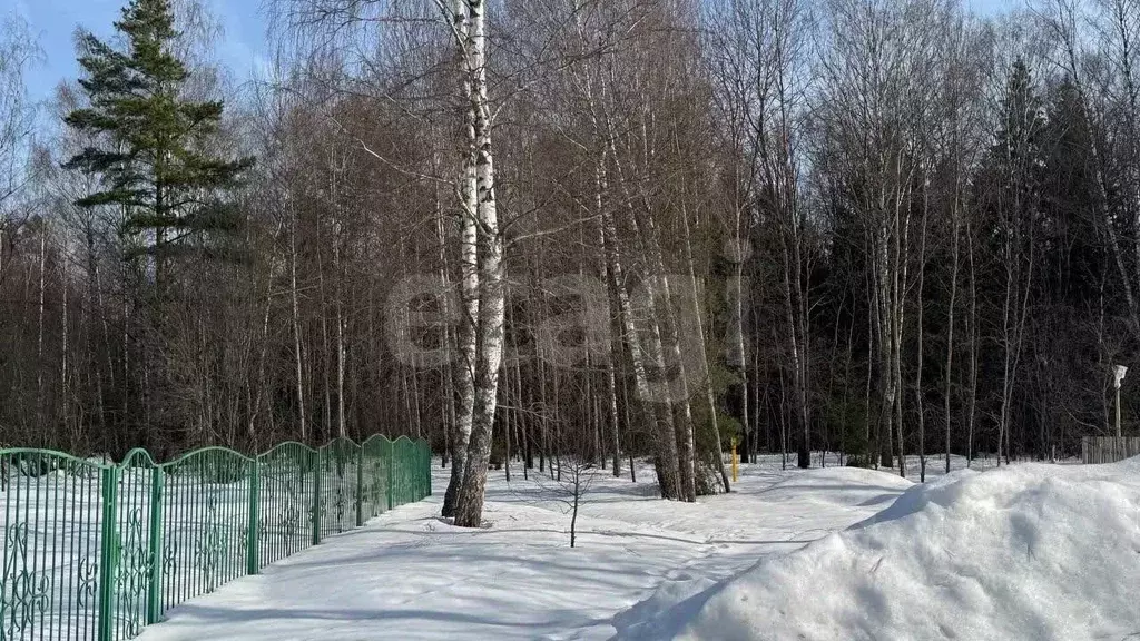 Участок в Владимирская область, Покров городской округ, д. Килекшино  ... - Фото 1