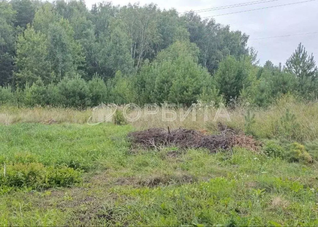 Участок в Тюменская область, Тюменский район, с. Кулига ул. ... - Фото 2