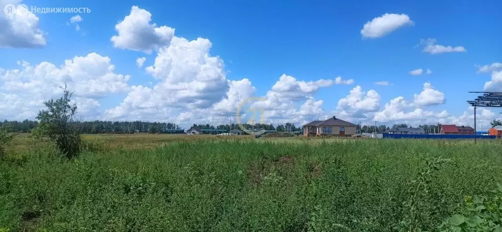 Участок в село Стрельцы, Южная улица, 86 (13 м) - Фото 2