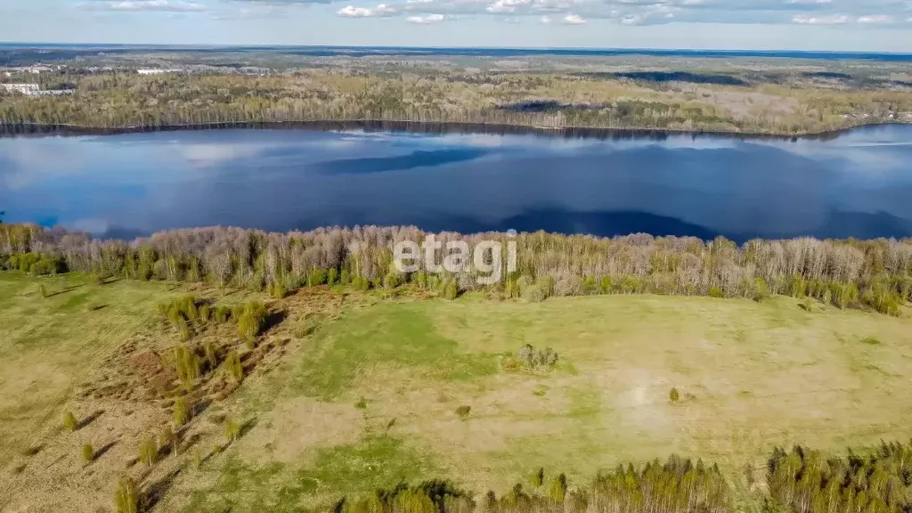 Участок в Ленинградская область, Выборгский район, Приморское ... - Фото 0