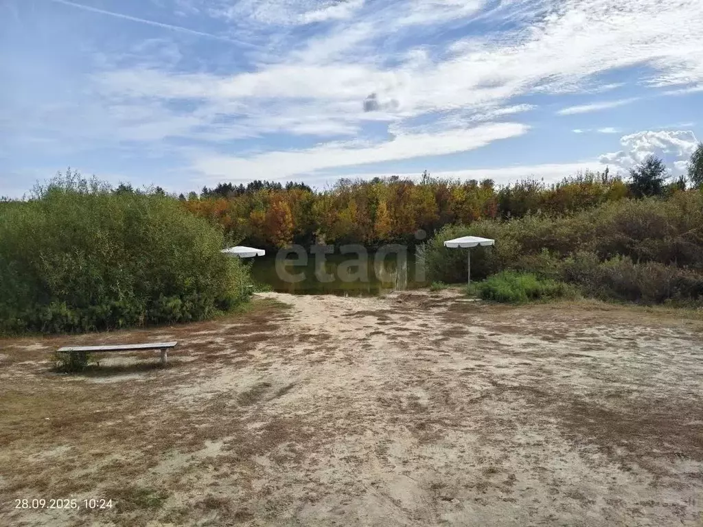 Участок в Воронежская область, Борисоглебский городской округ, с. ... - Фото 1