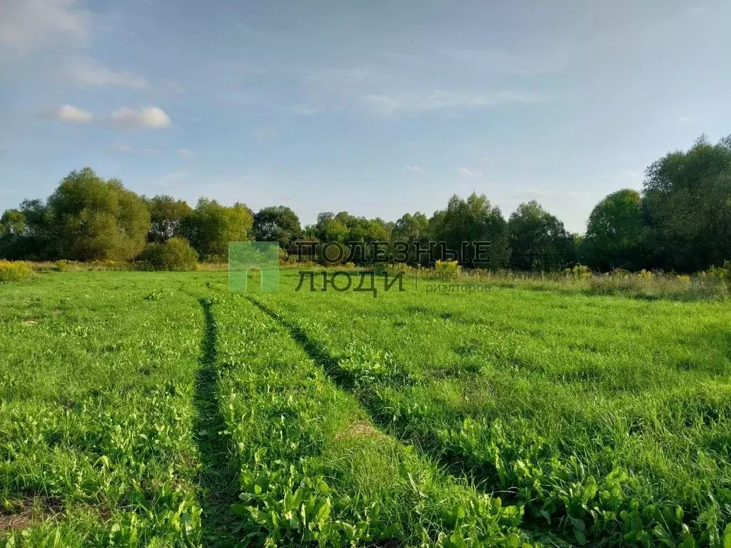 Участок в Орловская область, Орловский район, д. Медведево ул. ... - Фото 0