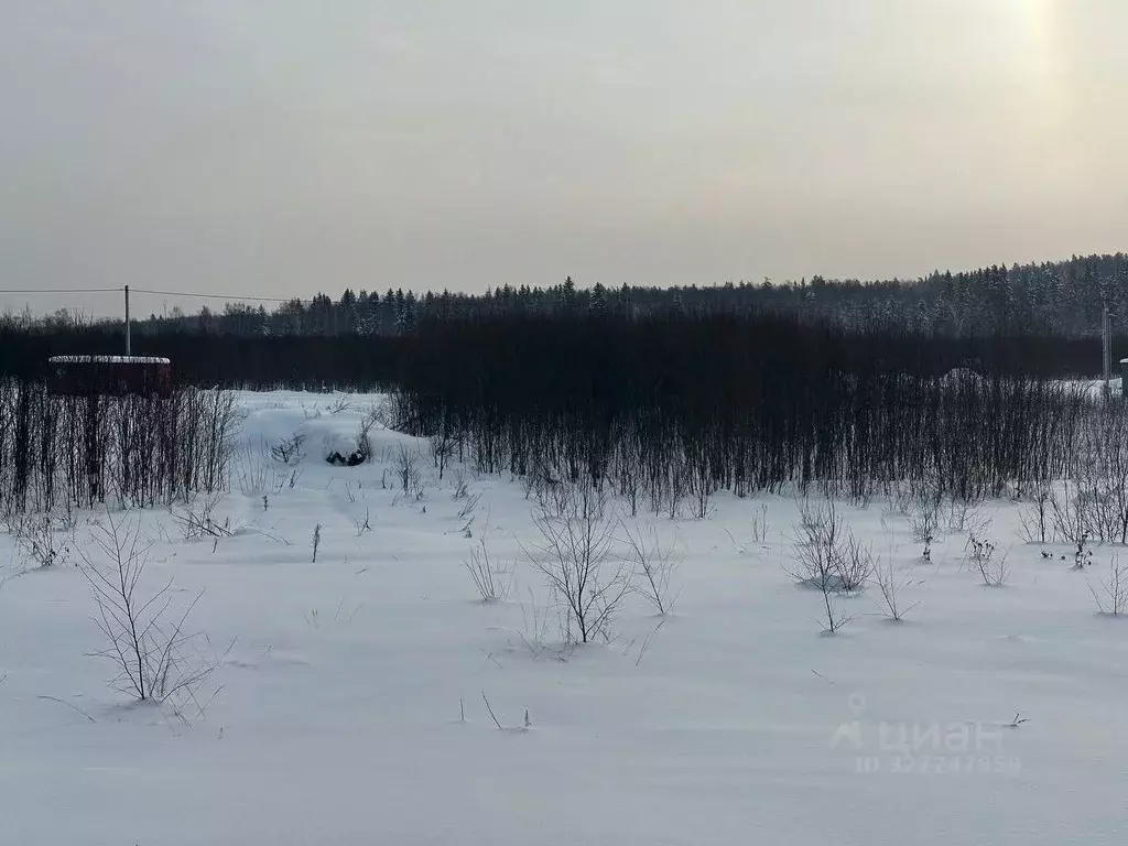 Участок в Московская область, Рузский муниципальный округ, д. Леньково ... - Фото 1