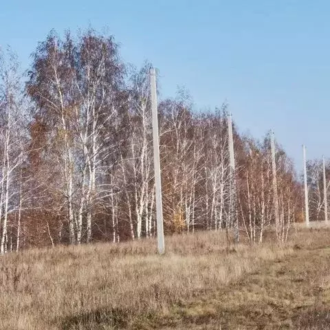 Участок в Омская область, Омский район, Дружинское с/пос, с. Красная ... - Фото 0