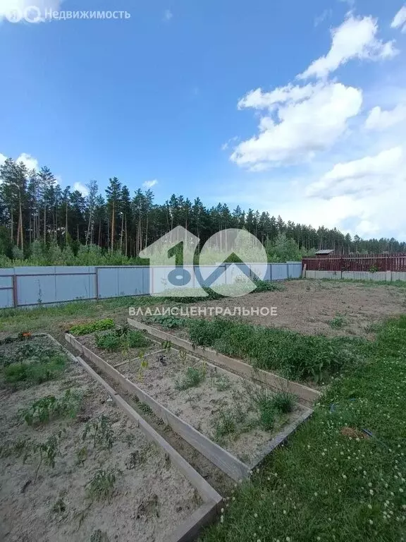 Дом в Сузун, улица Овчукова-Суворова, 68 (171.2 м) - Фото 1